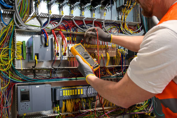 Best Electric Panel Repair  in Nneconne, WI
